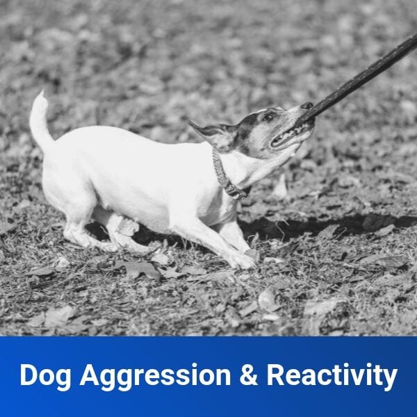 Behavior Modification Lessons