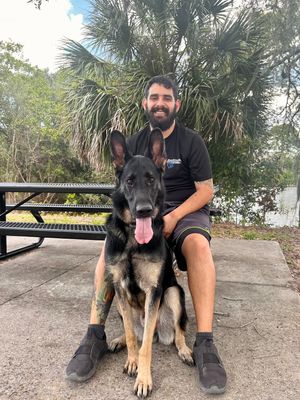 Cristian Pena, Certified Off Leash K9 Trainer, with a German Shepherd at a Sarasota park